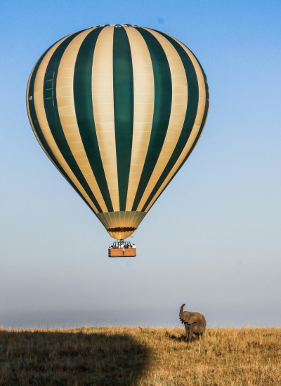 5 Days Kenya Luxury Safari Highlights