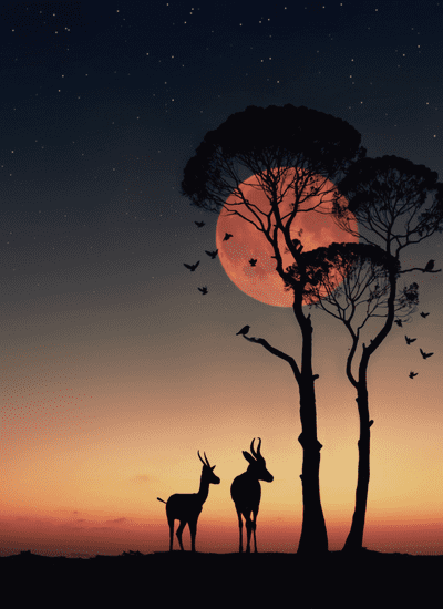 5 DAYS TANZANIA JEWELS MIDRANGE SAFARI Copy