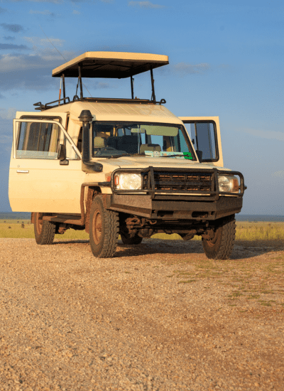 7 DAYS BEST OF TANZANIA LUXURY SAFARI
