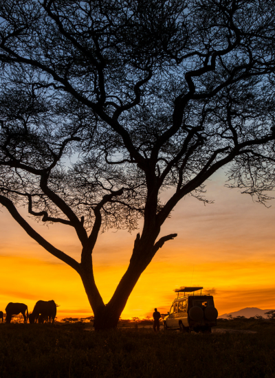 7 DAYS TANZANIA TREASURES MIDRANGE SAFARI
