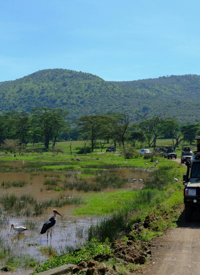 Nakuru Selfdrive